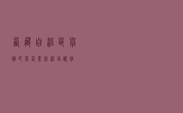 西藏自治区举办民营企业法治培训班