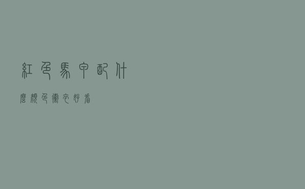 红色马甲配什么颜色卫衣好看