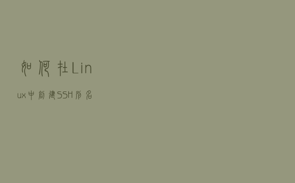 如何在 Linux 中创建 SSH 别名