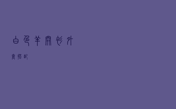 白色羊开衫外套搭配