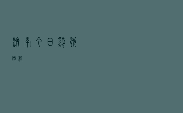 济南今日鸡腿价格
