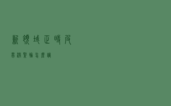 新领域正时皮带涨紧轮怎么调