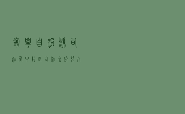 镇宁自治县司法局中片区司法所进村入户开展法治宣传活动