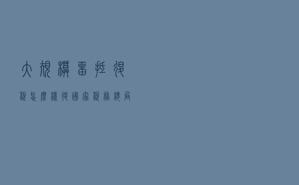 大规模留抵退税怎么样退？国家税务总局官员解读