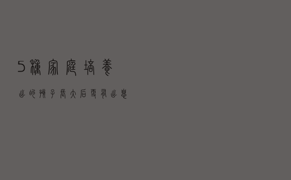5种家庭培养出的孩子，长大后更有出息，你家是吗