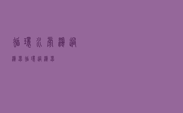 循环水旁滤过滤器（循环过滤器）