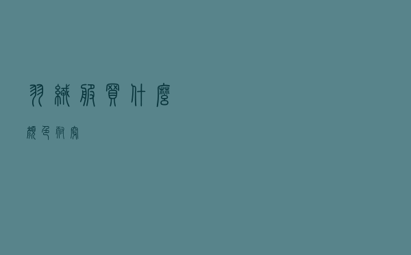 羽绒服买什么颜色耐穿