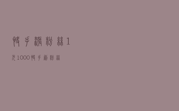 快手涨粉丝1元1000 - 快手刷粉丝