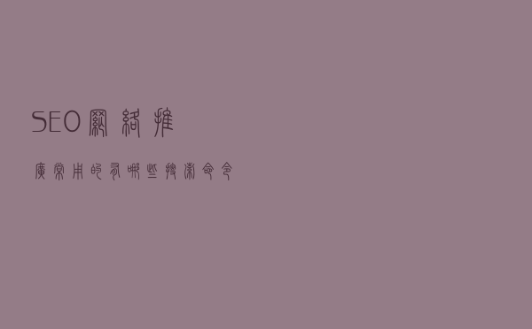 SEO网络推广常用的有哪些搜索命令？