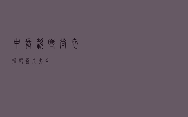 中长款时尚衣搭配图片大全