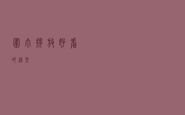 围巾摆放好看的造型