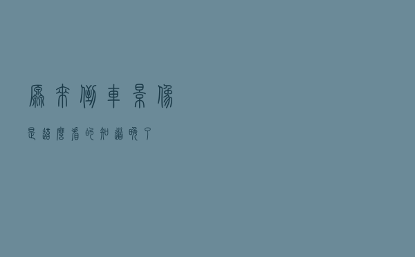 原来倒车影像是这么看的！知道晚了