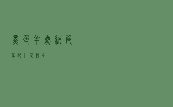 黑色羊剪绒皮草配什么裤子