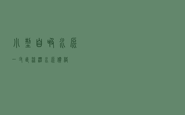 小型自吸水泵 「一寸直流潜水泵价格」