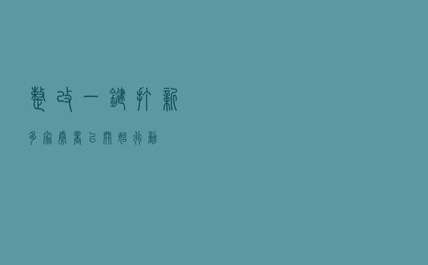 整改