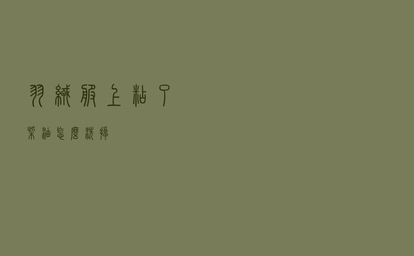 羽绒服上粘了柴油怎么洗掉