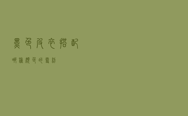 黑色皮衣搭配哪种颜色的雪纺