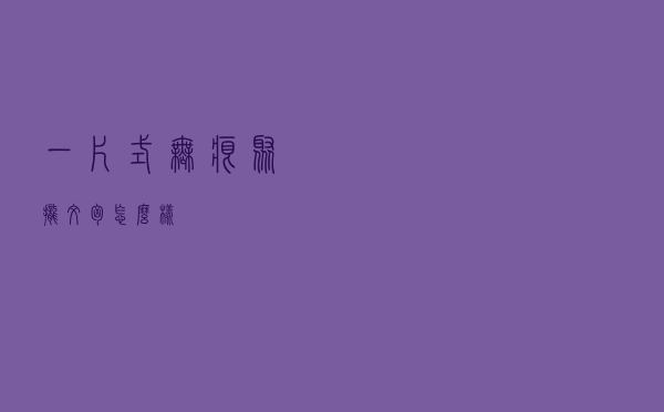 一片式无痕聚拢文胸怎么样