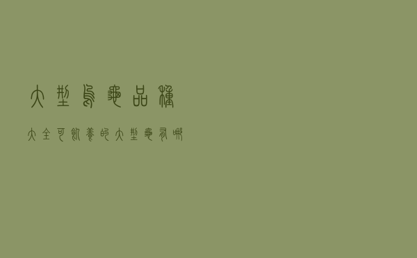 大型乌龟品种大全，可饲养的大型龟有哪些