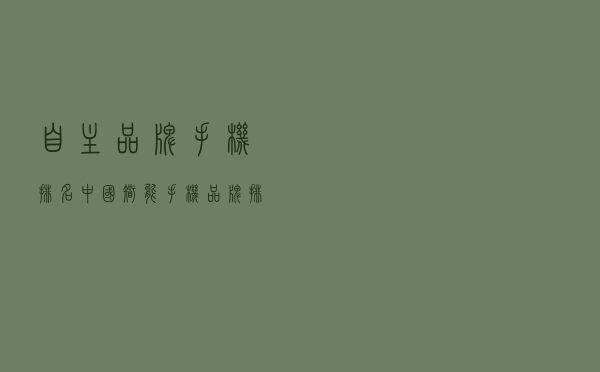 自主品牌手机排名（中国智能手机品牌排行）