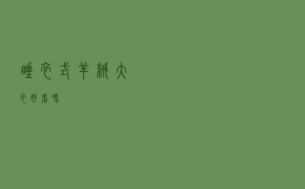 睡衣式羊绒大衣好看吗