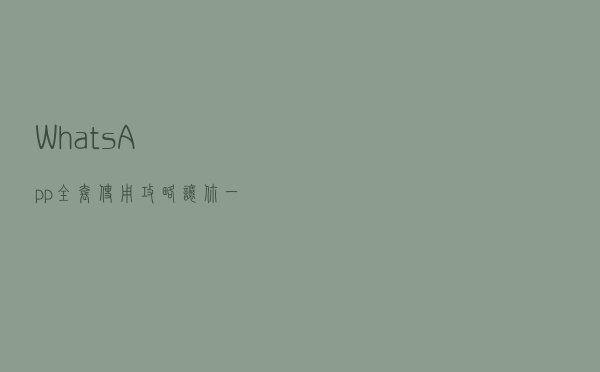 WhatsApp「全套」使用攻略，让你一次性玩转它