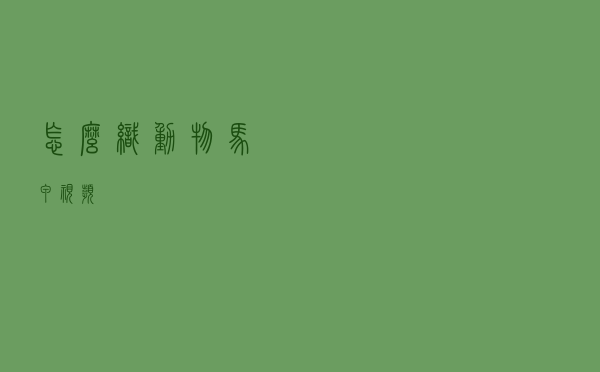 怎么织动物马甲视频