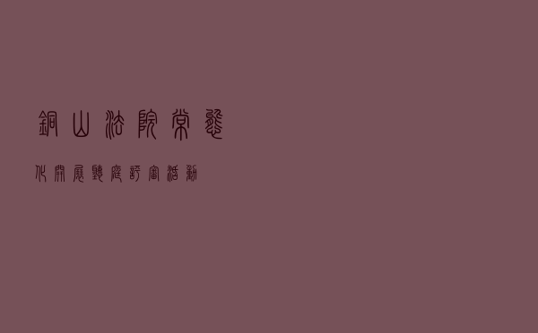 铜山法院常态化开展听庭评审活动