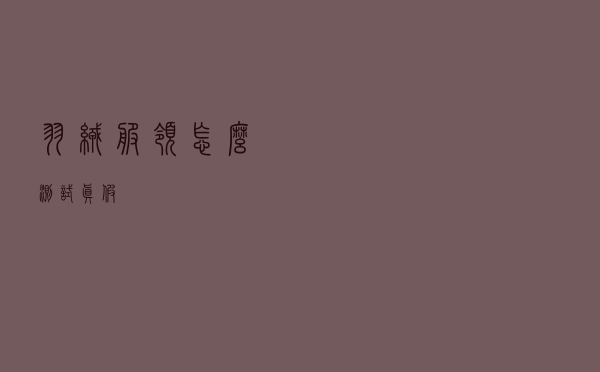 羽绒服领怎么测试真假