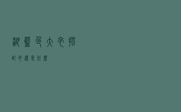 湖蓝色大衣搭配衣还是什么