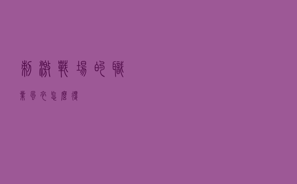 刺激战场的职业风衣怎么得