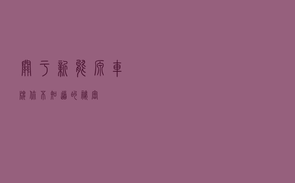 关于新能源车牌你不知道的秘密