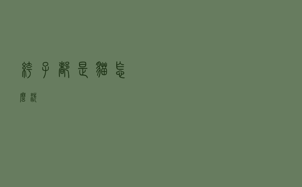 裤子都是猫怎么洗