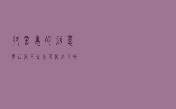 抖音里的创意微距摄影是怎么拍出来的？