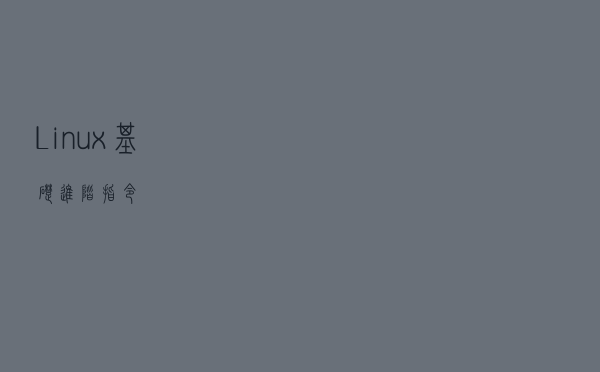 Linux基础-进阶指令