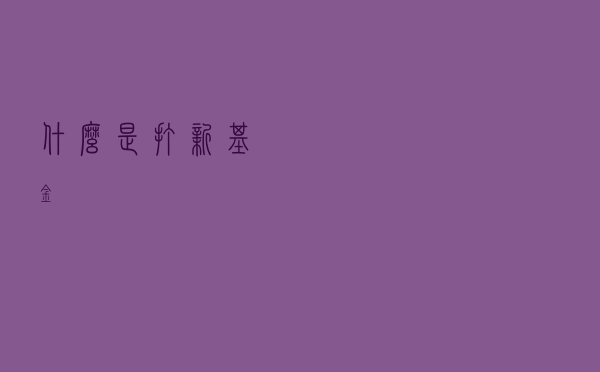 什么是打新基金？