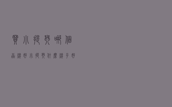买小提琴哪个品牌好_小提琴什么牌子好