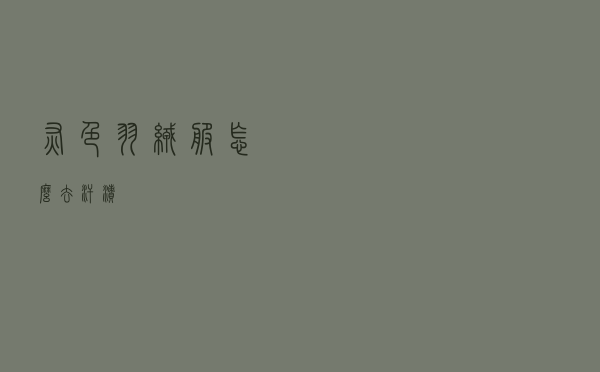 灰色羽绒服怎么去汗渍