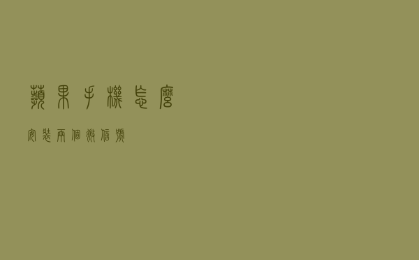 苹果手机怎么安装两个微信号