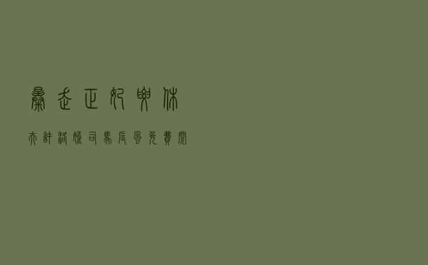 暴走正妃要休夫，许洛嫣司马辰风免费阅读