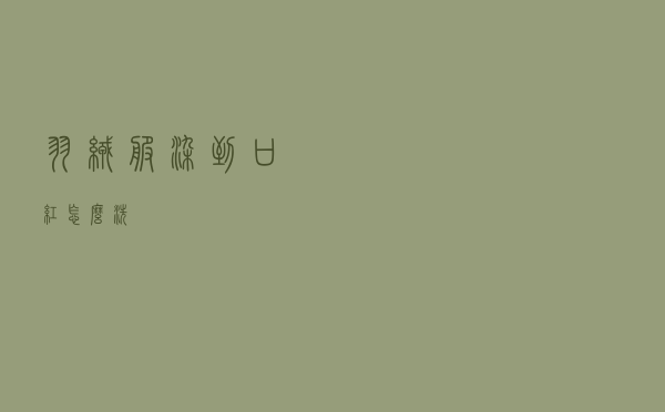 羽绒服染到口红怎么洗