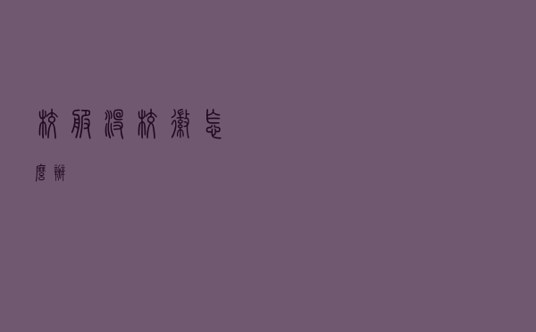 校服没校徽怎么办