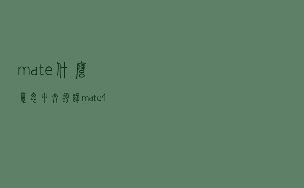 mate什么意思中文翻译，mate40pro中文意思