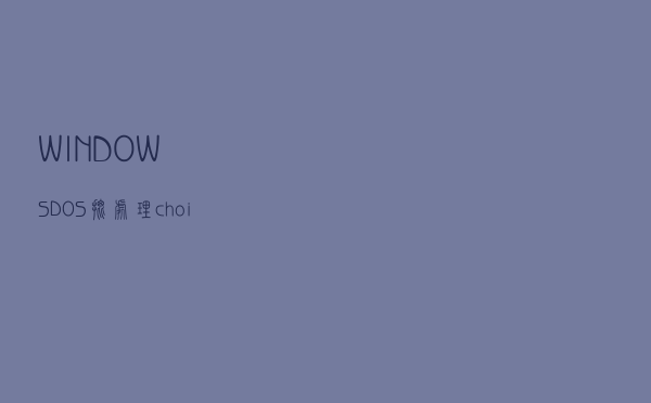 【WINDOWS / DOS 批处理】choice命令详解