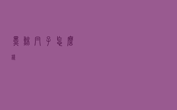 黑鲸帽子怎么样