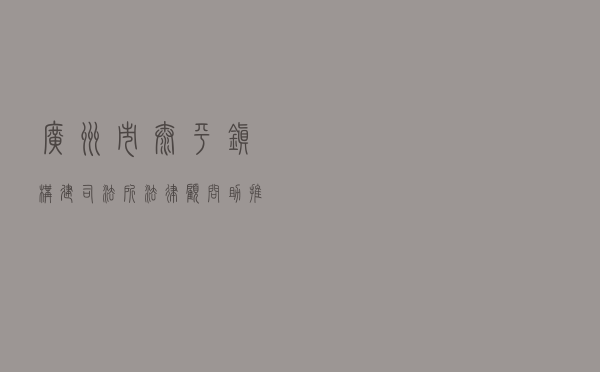 广州市太平镇构建“司法所+法律顾问”助推基层法治政府建设