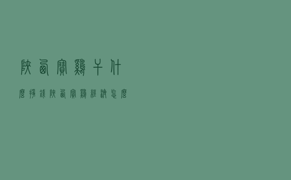 陕西宝鸡干什么挣钱_陕西宝鸡经济怎么样