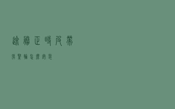 途胜正时皮带张紧轮怎么安装