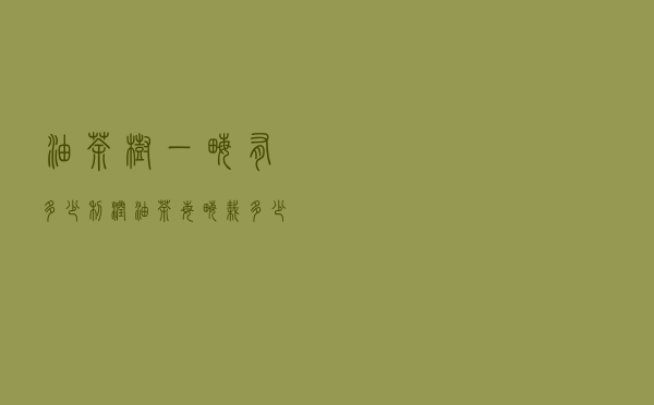 油茶树一亩有多少利润，油茶每亩栽多少株