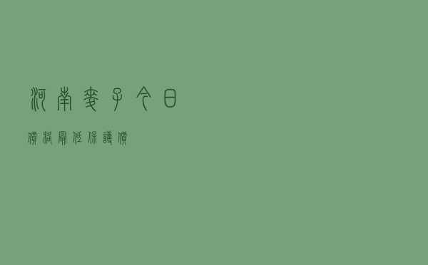 河南麦子今日价格最低保护价